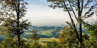 Viaggio con bambini - Kleinzell im Mühlkreis - Kraftplatz "Wendenstein"