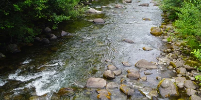 Reis met kinderen - Kleinzell im Mühlkreis - Europäische Wasserscheide