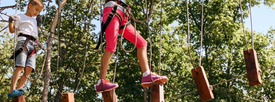 Ausflugsziel: Wald-Hochseilgarten und 3D Bogenschießen