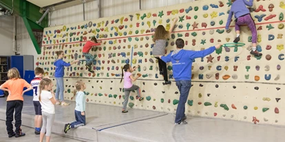 Reis met kinderen - Rading (Bad Leonfelden) - Kletterhalle Linz-Auwiesen