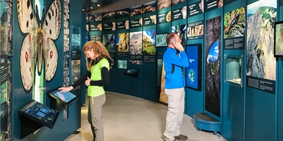 Trip with children - Waldneukirchen - Die Erlebnisausstellung Faszination Fels im Nationalpark Panoramaturm Wurbauerkogel. - Nationalpark Panoramaturm Wurbauerkogel