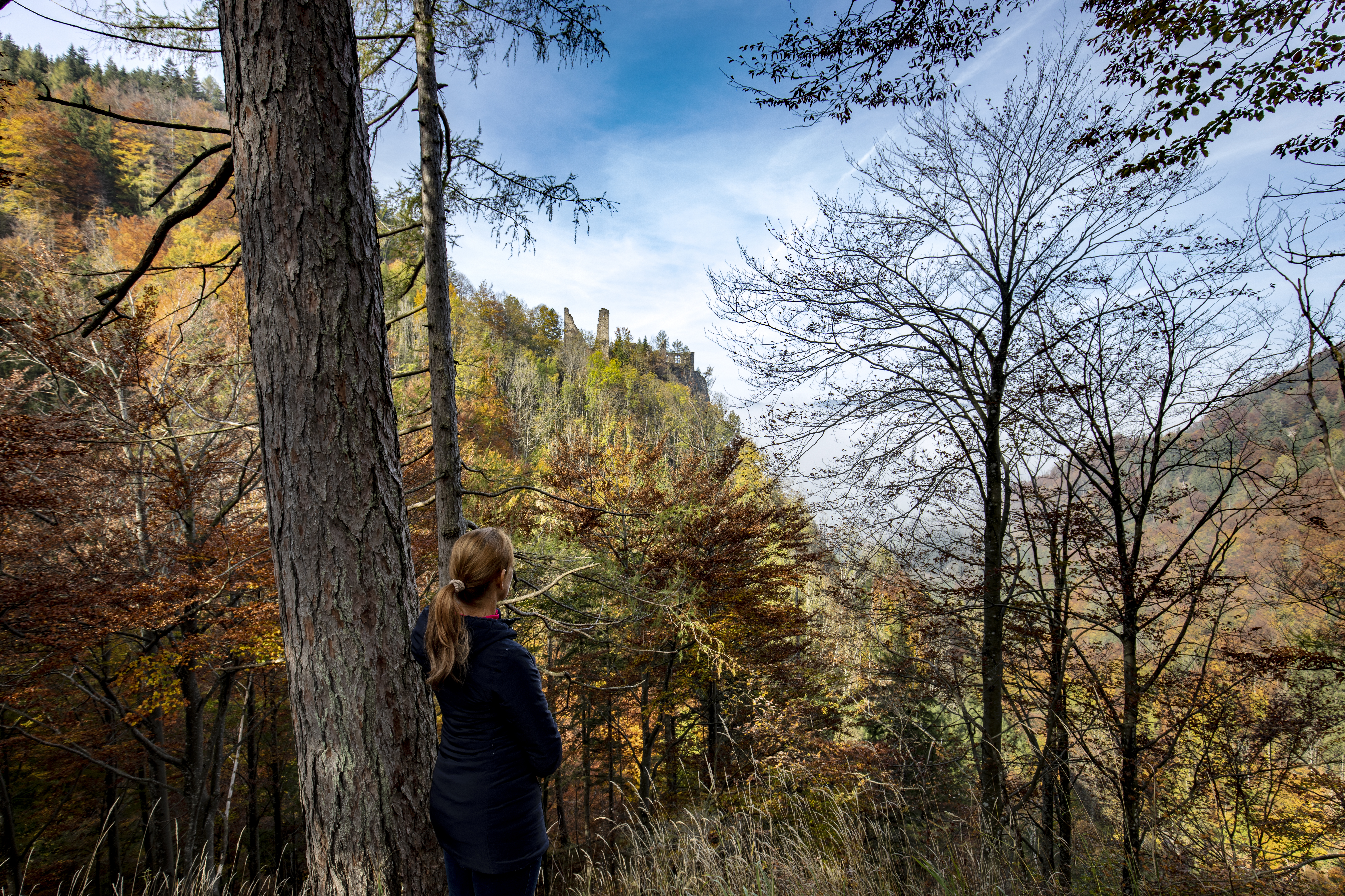 Trip with children - Rüstorf - Ruine Scharnstein