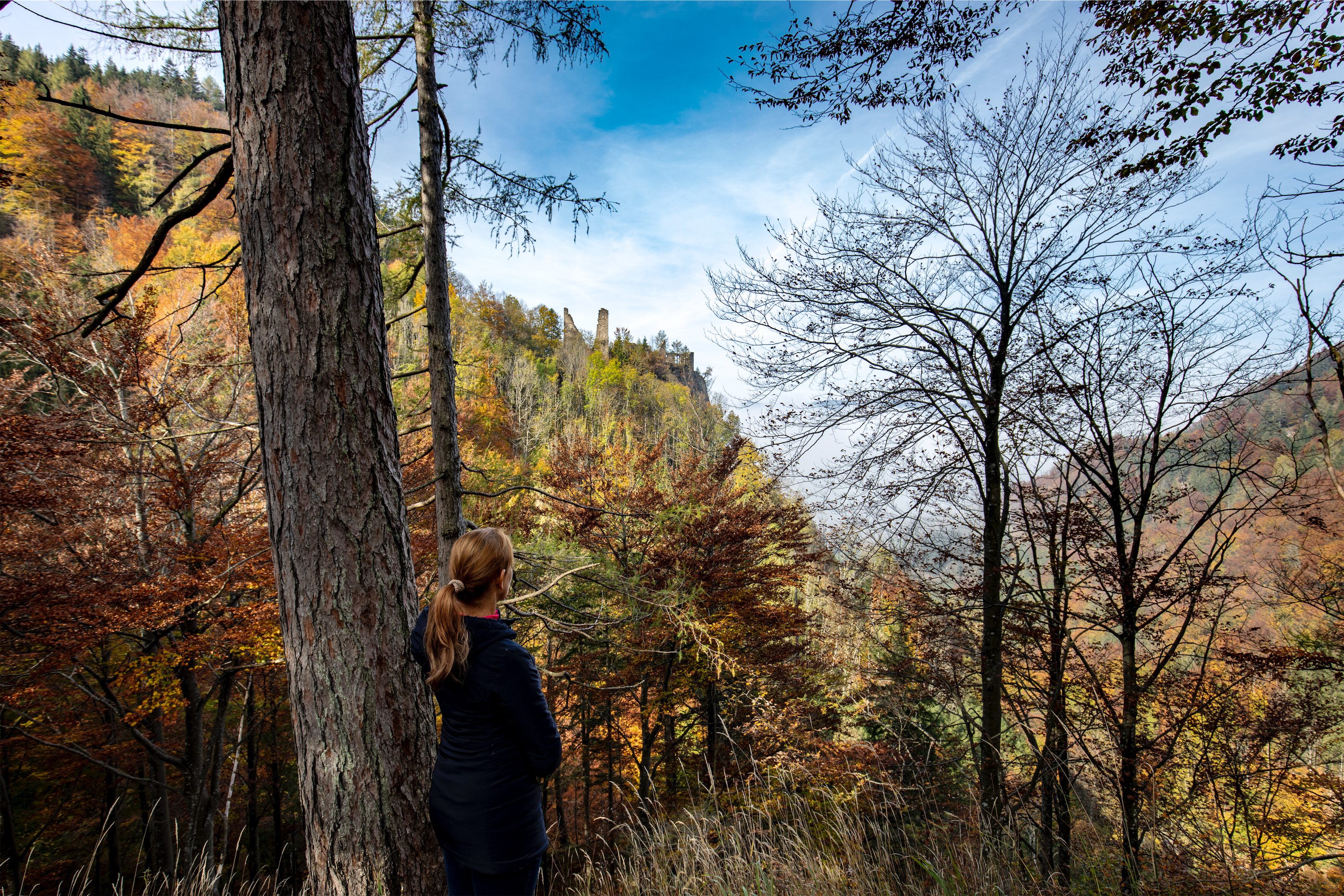 Ausflugsziel: Ruine Scharnstein