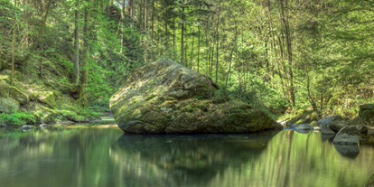 Ausflug mit Kindern - Ausflugsziel ist: ein Wandergebiet - Purwörth - Pesenbachtal Naturschutzgebiet