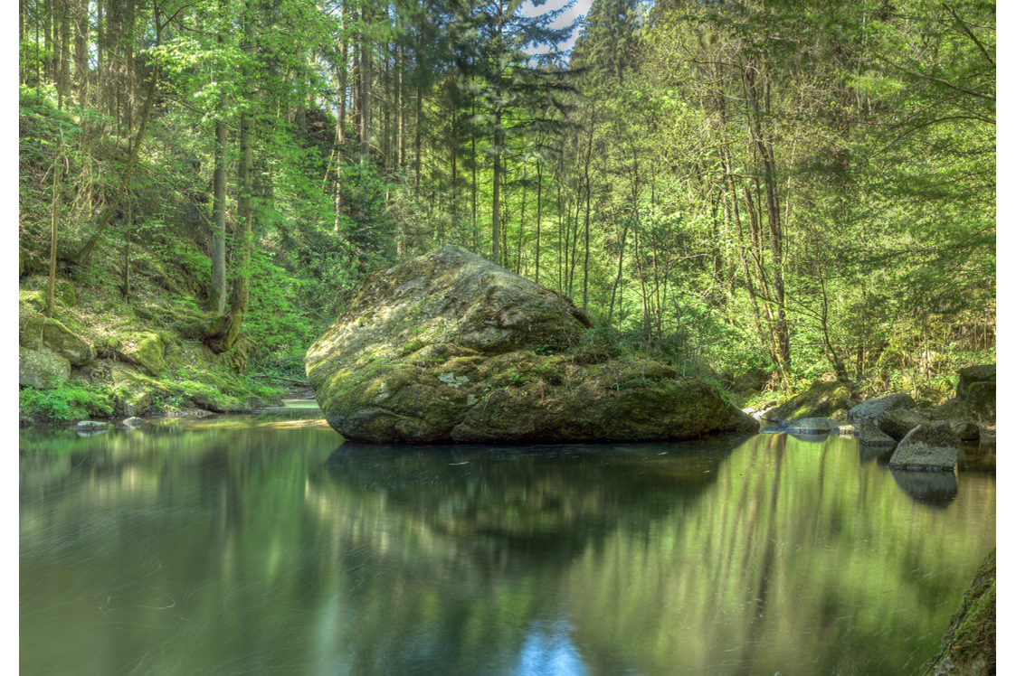 Ausflugsziel: Pesenbachtal Naturschutzgebiet