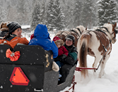 Ausflugsziel: Pferdeschlitten- und Pferdekutschenfahrten Familie Reingruber