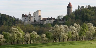 Ausflug mit Kindern - Preisniveau: günstig - Rechberg (Sankt Thomas am Blasenstein, Rechberg) - Führungen auf Burg Clam
