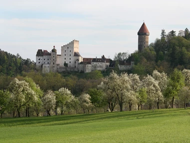 Ausflugsziel: Führungen auf Burg Clam