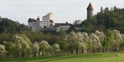 Viaggio con bambini - Böhlerwerk - Führungen auf Burg Clam