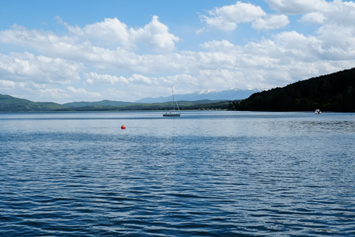 Ausflugsziel: Pleschinger See