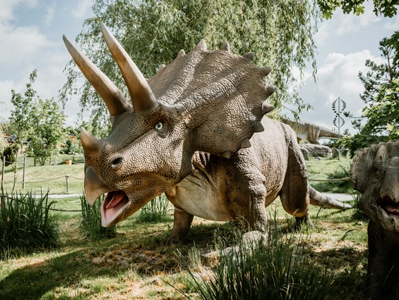 Ausflugsziel: IKUNA Naturerlebnispark