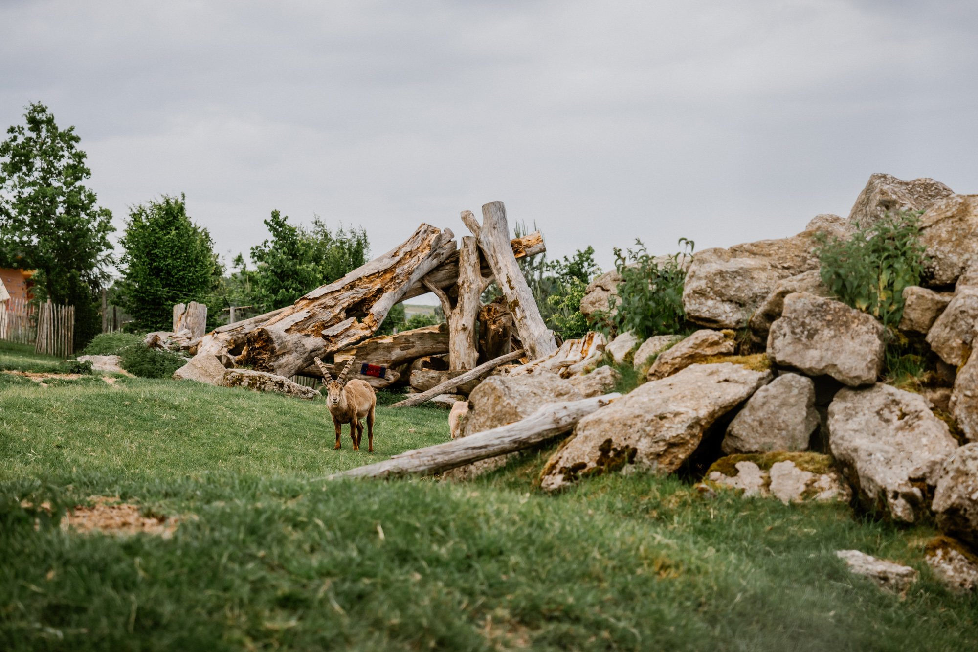 Ausflugsziel: IKUNA Naturerlebnispark