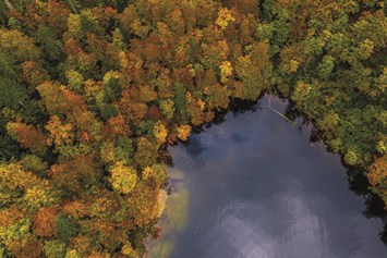 Ausflugsziel: Toplitzsee (und ein Eckerl vom Kammersee) im Herbst. - Schifffahrt Grundlsee