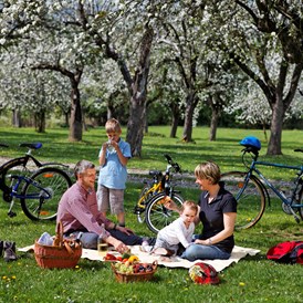 Ausflugsziel: Familien-Picknick unter den blühenden Apfelbäumen - Steirische Apfelstraße