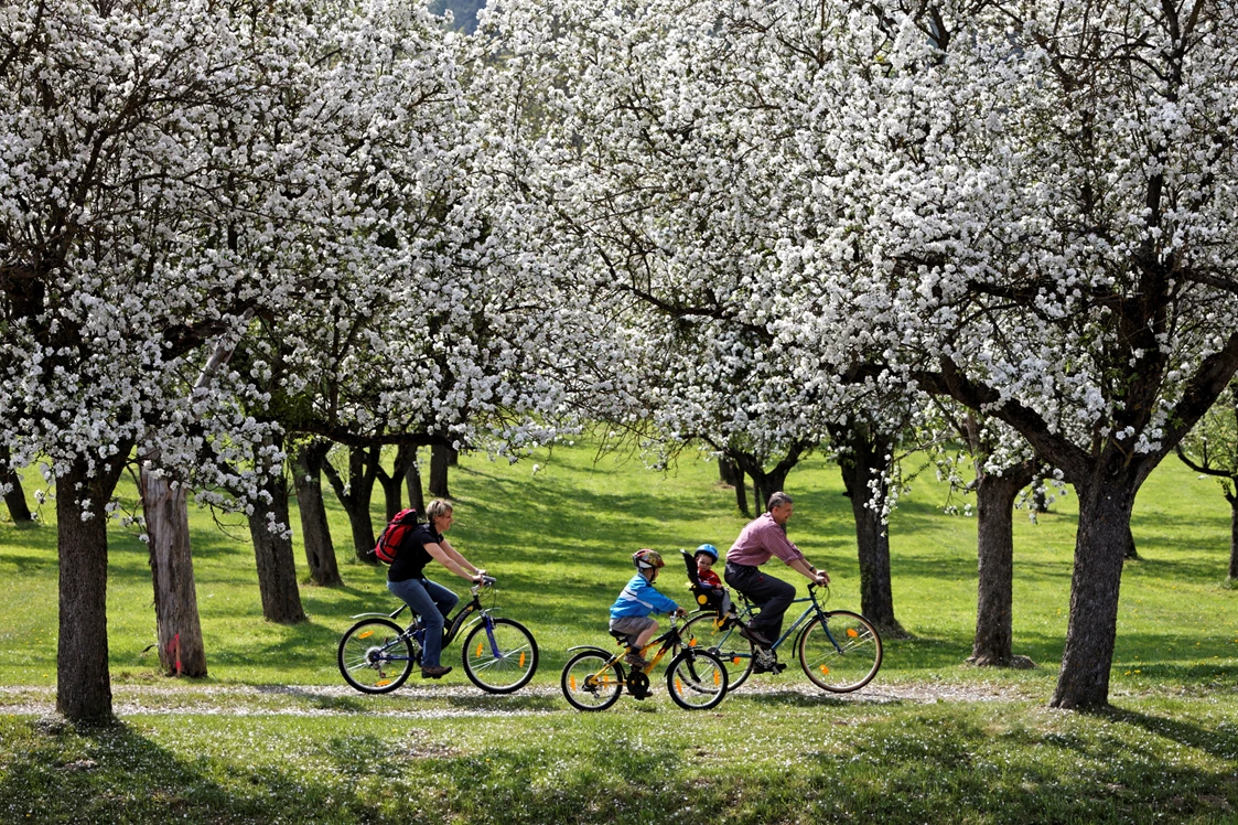 Ausflugsziel: Radfahren im Frühling durch blühende Obstgärten - Steirische Apfelstraße