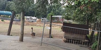 Voyage avec des enfants - Deutschfeistritz - Tier-, Wild- und Spielpark Preding