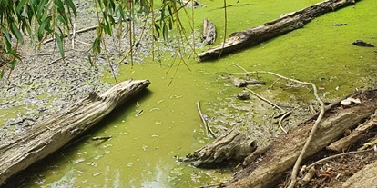 Voyage avec des enfants - Deutschfeistritz - Tier-, Wild- und Spielpark Preding