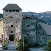 Ausflugsziel - Burg Oberkapfenberg