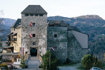 Ausflugsziel: Burg Oberkapfenberg