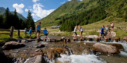 Trip with children - St. Ruprecht ob Murau - Eselsberger Almerlebnis