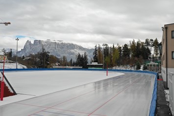 Ausflugsziel: Eislaufen am Eisring der Ritten Arena