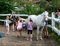 Ausflugsziel: Kuscheln mit Pferden - Bio Stutenmilchgestüt Töchterlehof