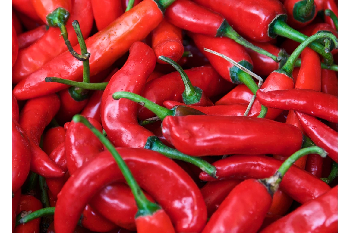 Ausflugsziel: Fireland Foods -  Chili Erlebniswelt