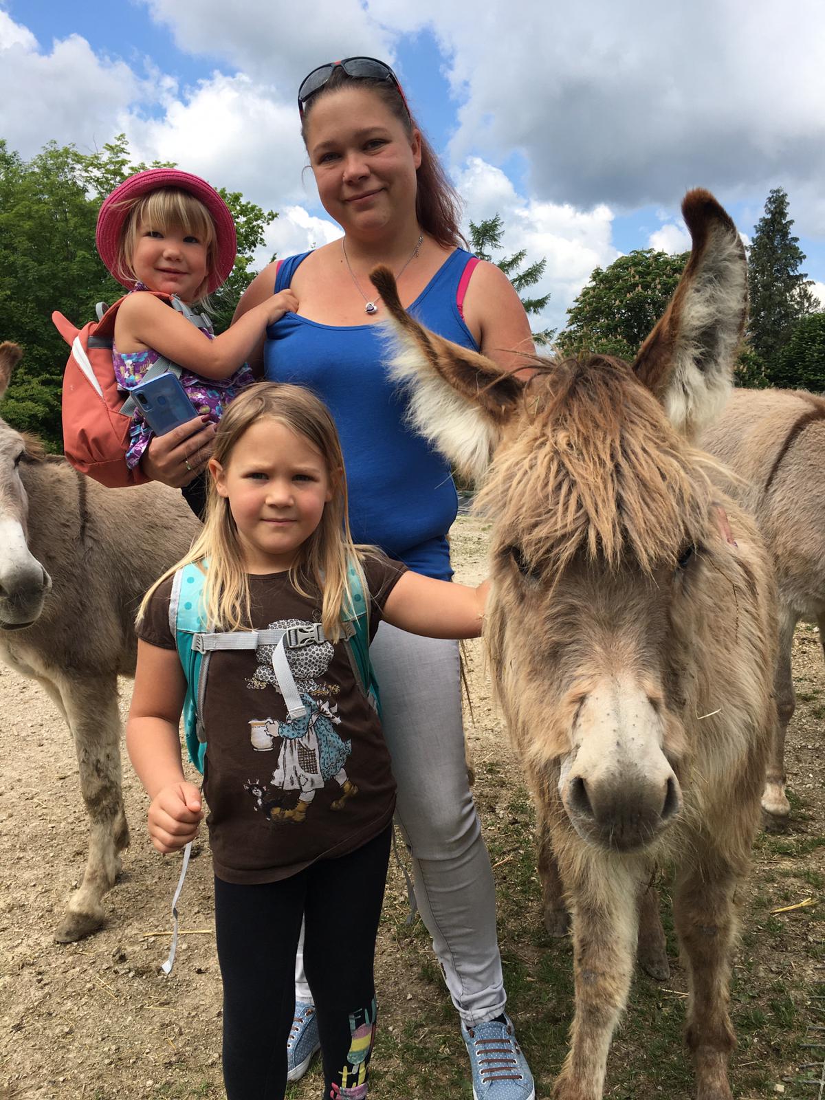 Ausflugsziel: Natur- und Abenteuerpark Buchenberg