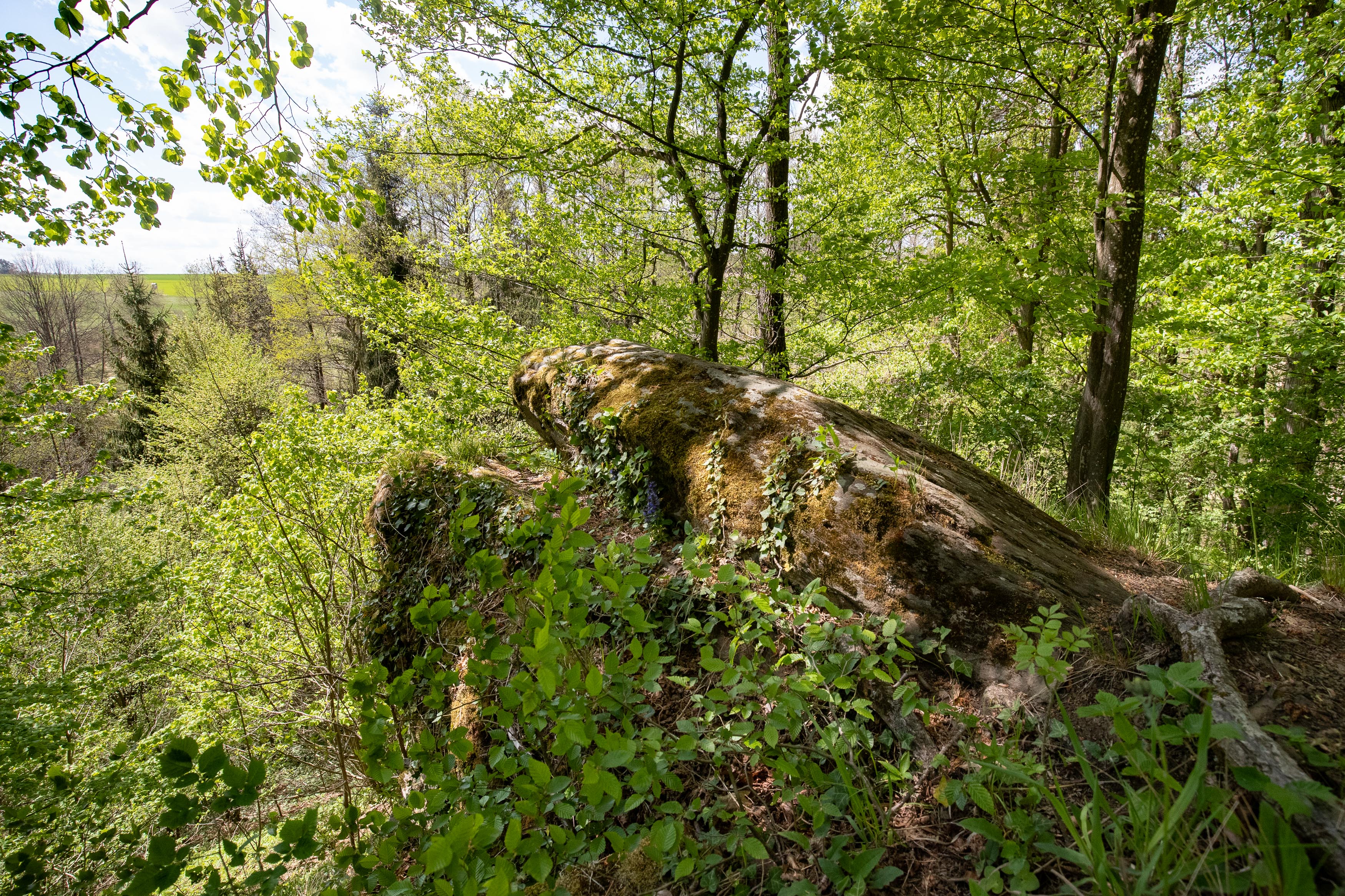 Ausflugsziel: Naturpark Geras