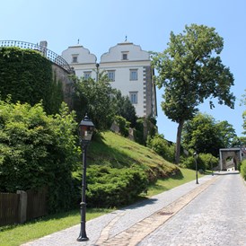 Ausflugsziel: Aufgang zum Schloss - Schloss Weitra