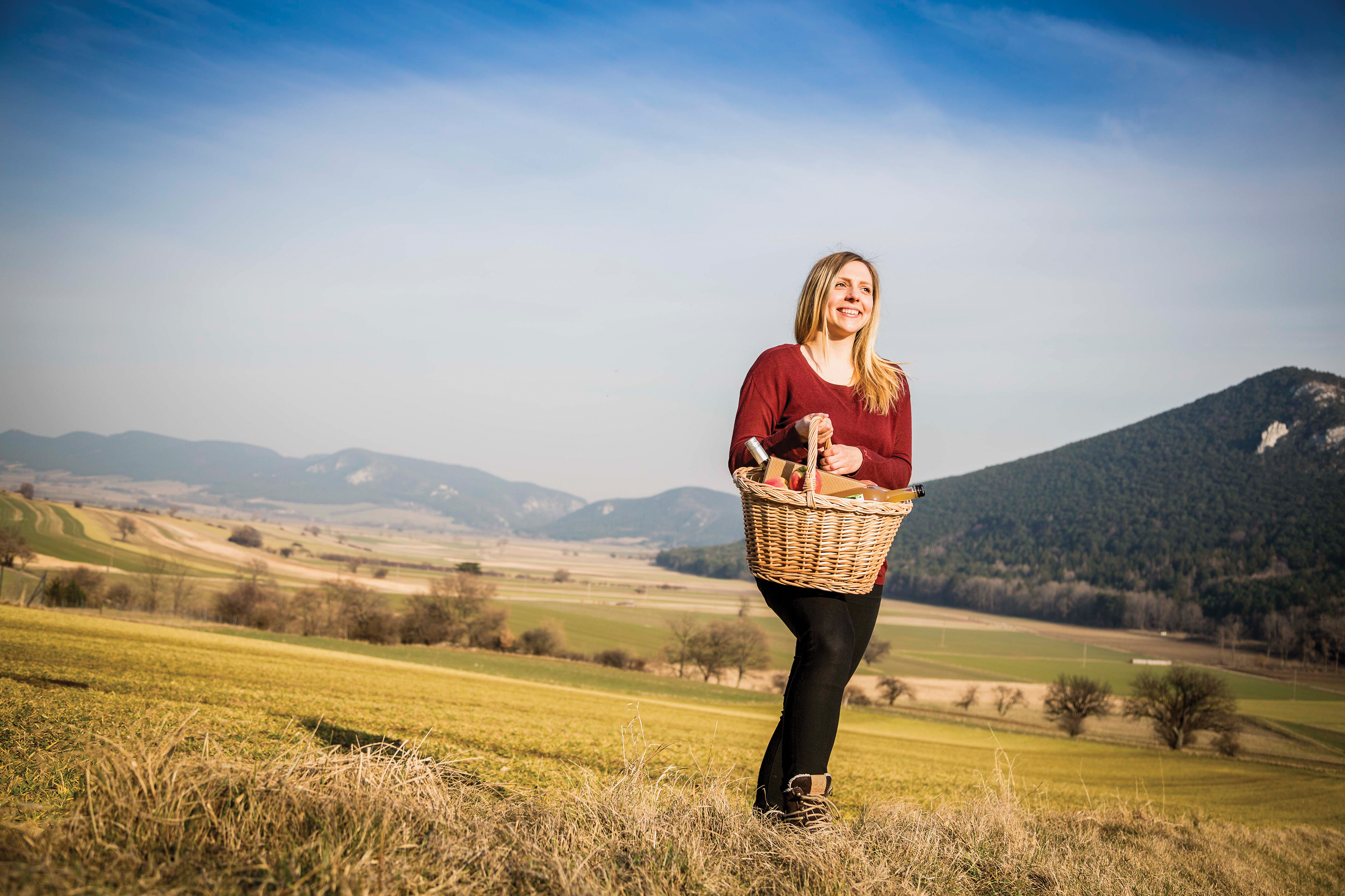 Ausflugsziel: Mohr-Sederl Fruchtwelt