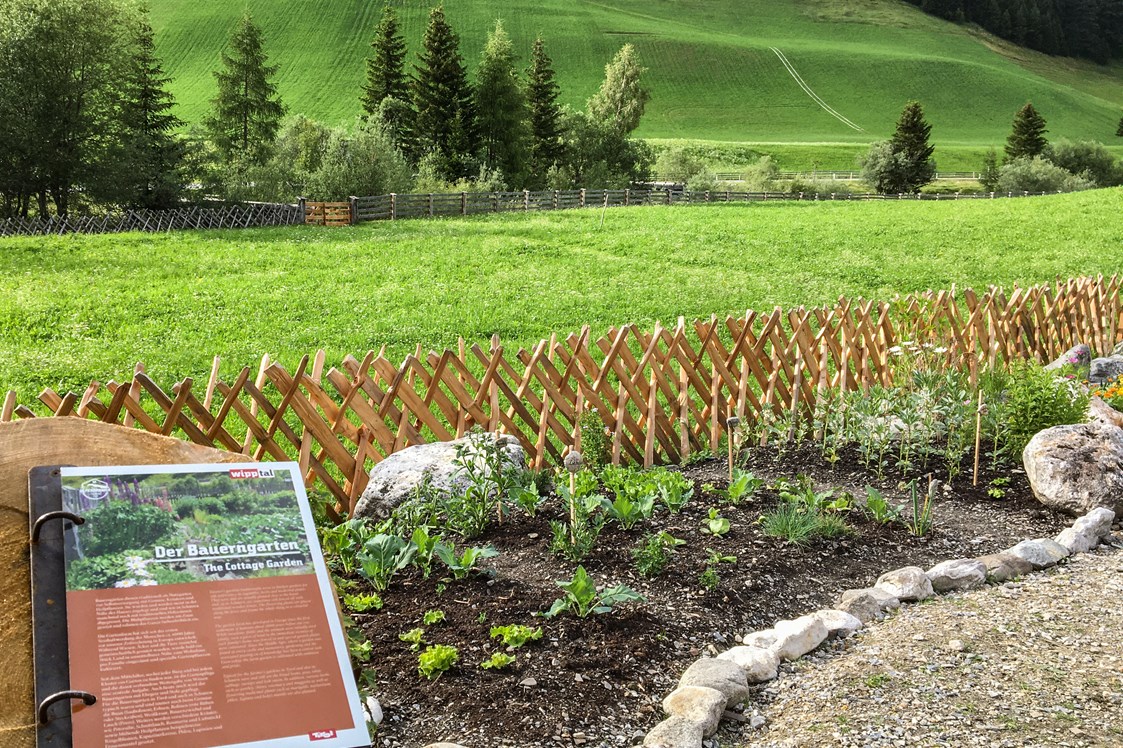 Ausflugsziel: Alpenblumengarten
