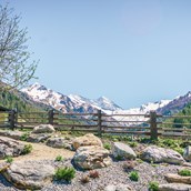 Ausflugsziel - Ansicht Alpenblumengarten - Alpenblumengarten