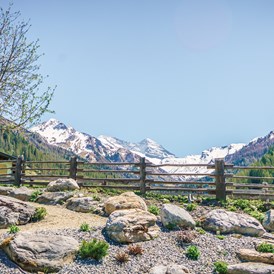 Ausflugsziel: Ansicht Alpenblumengarten - Alpenblumengarten