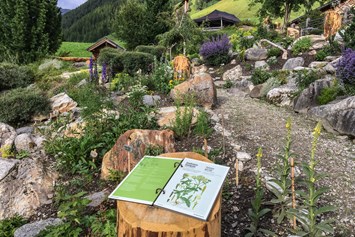 Ausflugsziel: Informationsblätter - Alpenblumengarten