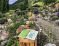Ausflugsziel: Informationsblätter - Alpenblumengarten