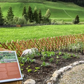 Ausflugsziel: Garten mit Infomartionsblätter - Alpenblumengarten