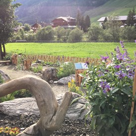Ausflugsziel: Wunderschöner Garten - Alpenblumengarten