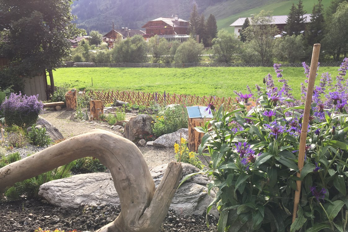 Ausflugsziel: Wunderschöner Garten - Alpenblumengarten