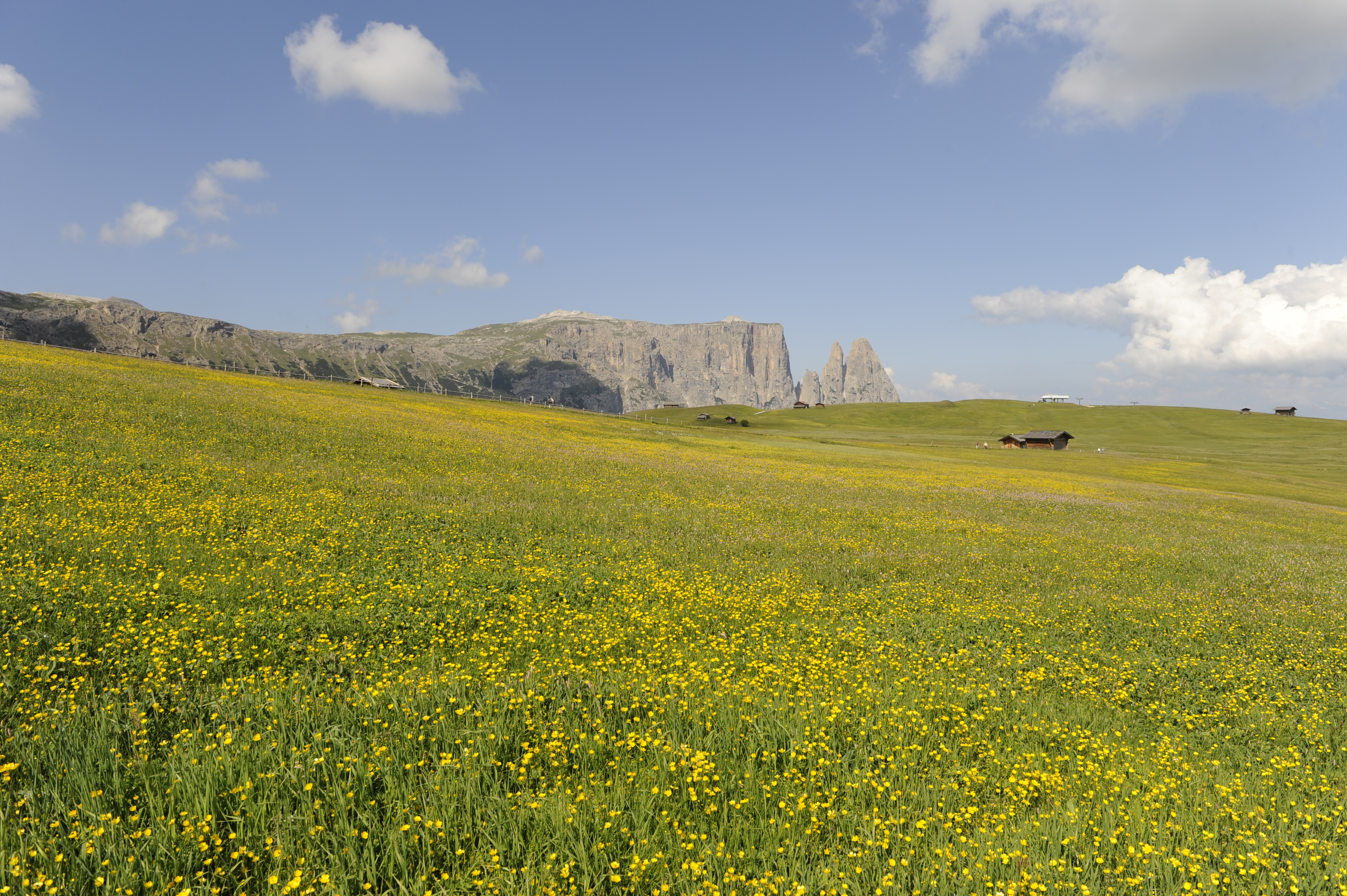 Ausflugsziel: Ferienregion Seiser Alm