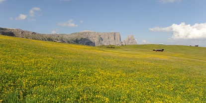 Reis met kinderen - Abtei (Trentino-Südtirol) - Ferienregion Seiser Alm