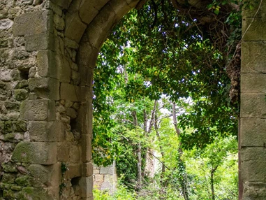 Ausflugsziel: Symbolbild für Ausflugsziel Ruine Helfenberg. Keine korrekte oder ähnlich Darstellung! - Ruine Helfenberg