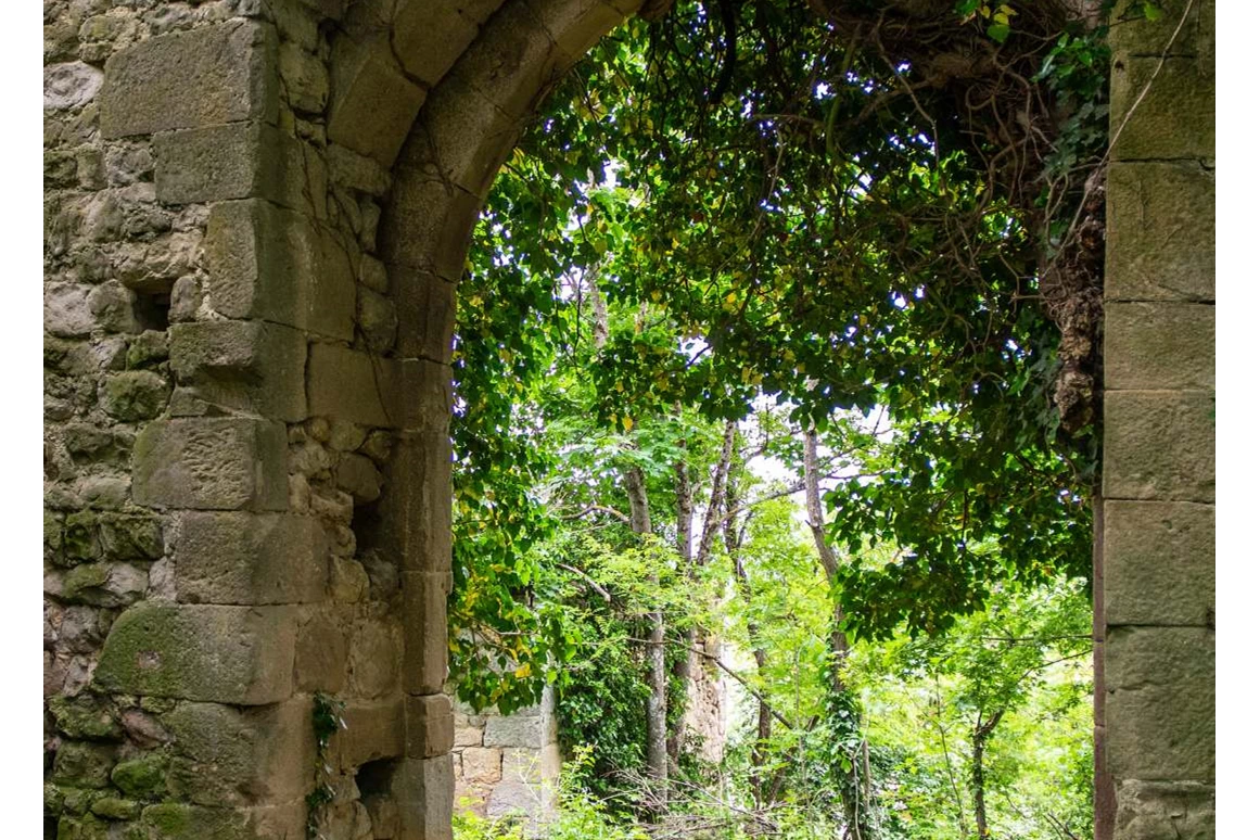 Ausflugsziel: Ruine Helfenberg
