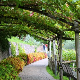 Ausflugsziel: Die Gärten von Schloss Trauttmansdorff