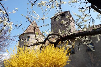 Ausflugsziel: Frühling in Bozen - Schloss Maretsch