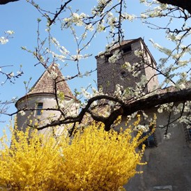 Ausflugsziel: Frühling in Bozen - Schloss Maretsch