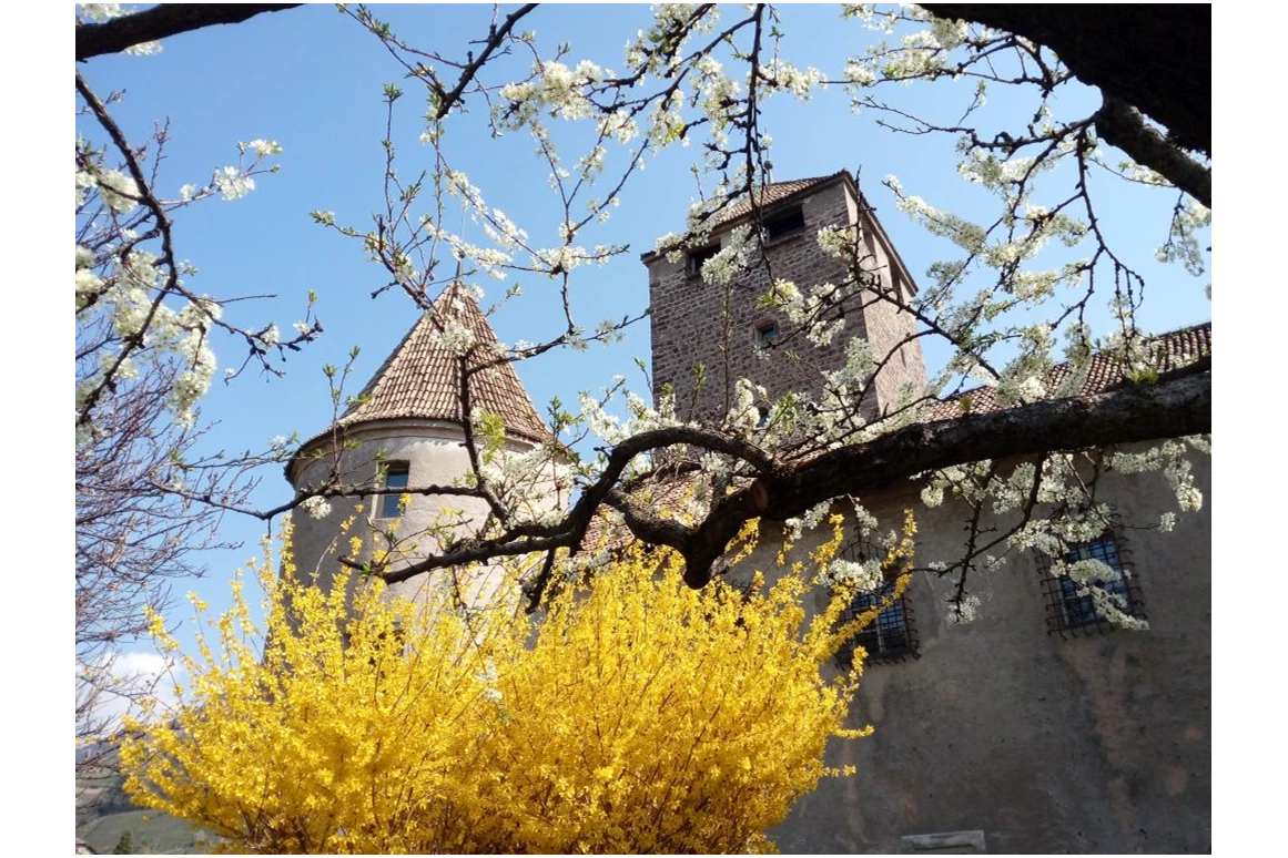 Ausflugsziel: Frühling in Bozen - Schloss Maretsch
