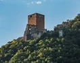 Ausflugsziel: Ruine Greifenstein - Sauschloss