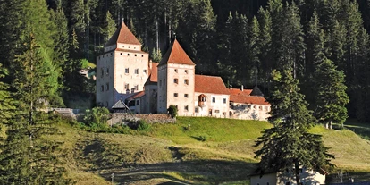 Viaggio con bambini - Sand in Taufers - Fischburg