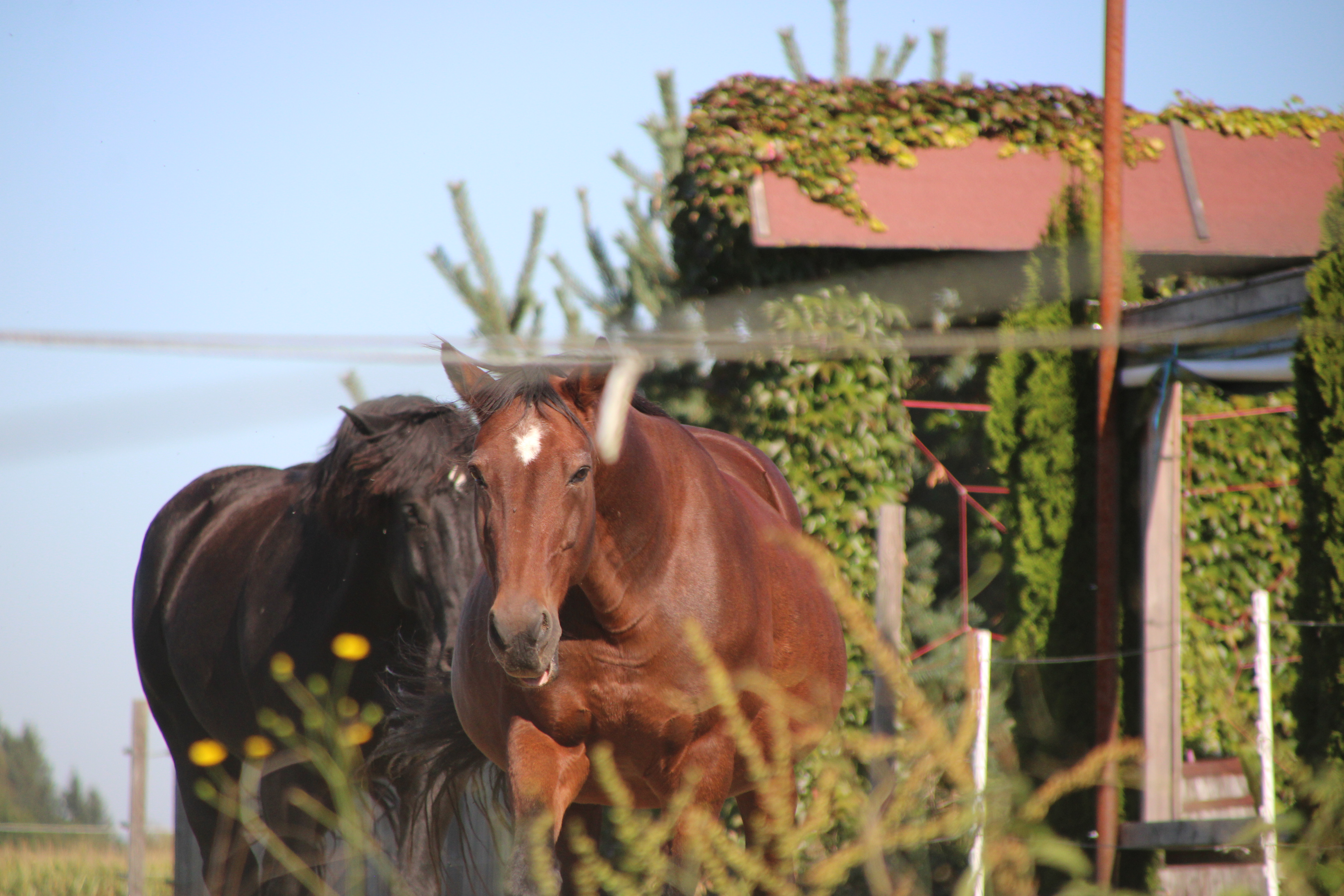 Ausflugsziel: Lust am Leben Familien,- Jugendliche und Kinder Aktion Camp